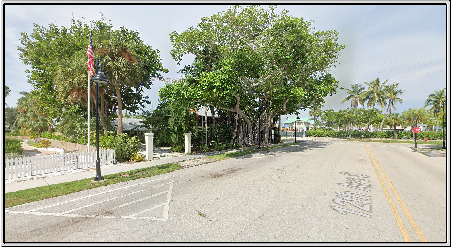 Banyan Tree. Naples, FL. USA